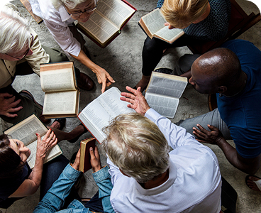 bible institute